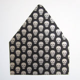 Envelope Liners - A6 (PS)