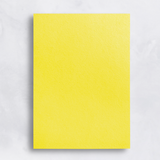 Colorplan 100# Sheets