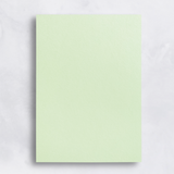 Colorplan 100# Sheets