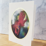 Oval Foil Bordered Photo Cards (small)