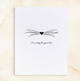 Pet Sympathy - Cat Nose Cards