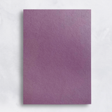 Colorplan 100# Sheets