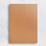 Colorplan 100# Sheets
