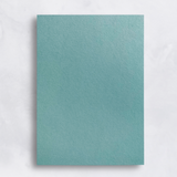 Colorplan 100# Sheets
