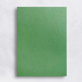 Colorplan 100# Sheets