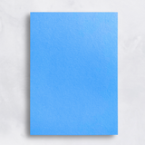 Colorplan 100# Sheets