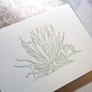 Agave Holiday Cards {custom}