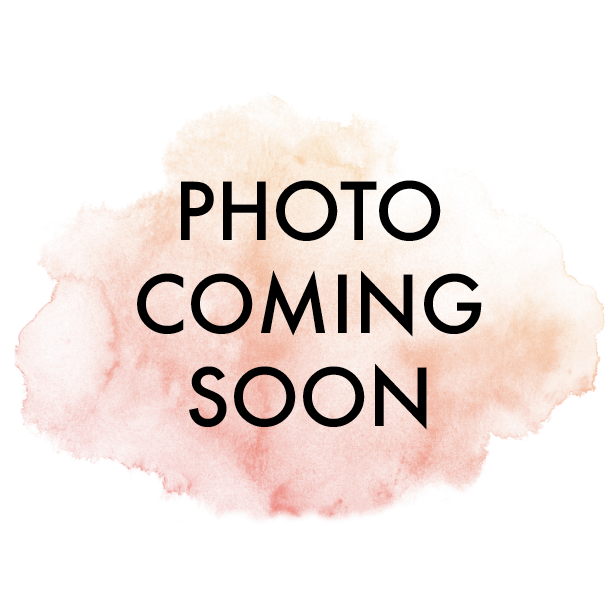 inviting letterpress boutique Suppy Shop Belly Bands